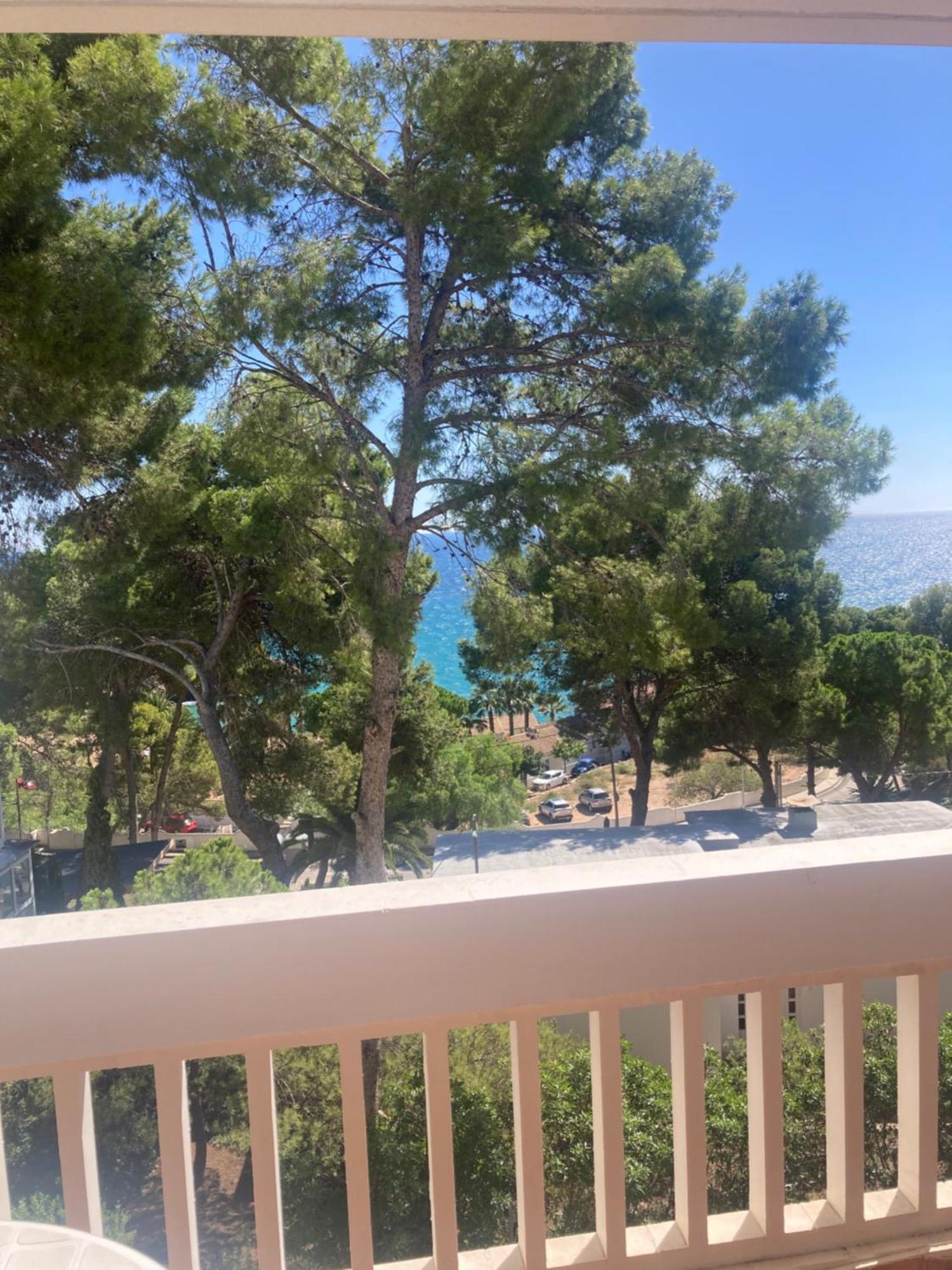 Appartement Vue Mer Avec Piscine Et Wifi 萨洛 外观 照片